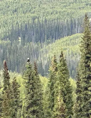 Whatsapp Image 2024 06 10 At 06.48.39 (2)