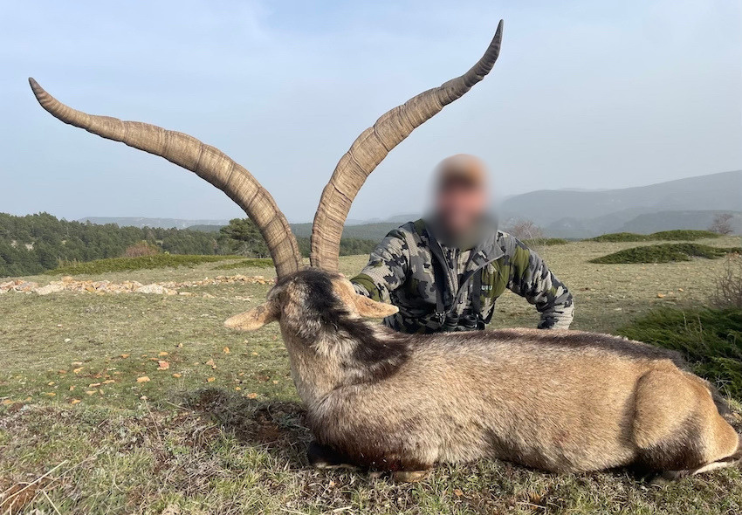 Design Uden Navn (35)