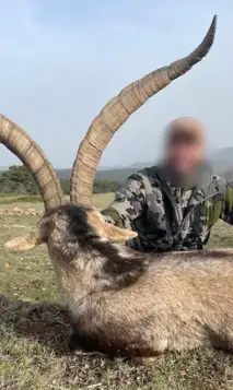 Design Uden Navn (35)