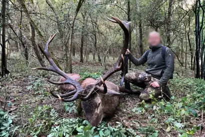 Skærmbillede 2023 12 04 154614