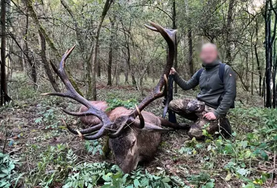 Skærmbillede 2023 12 04 154614