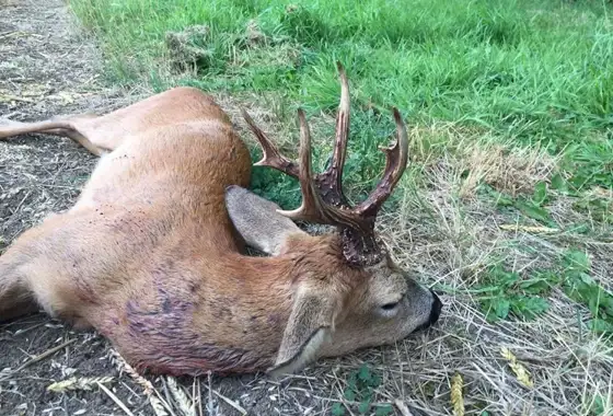 405687035 1112704376695713 8704553381343756721 N