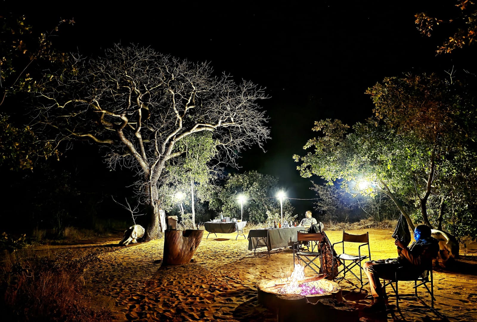 Whatsapp Image 2026 03 04 At 11.26.54