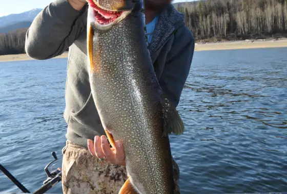 Skærmbillede 2024 07 04 082251