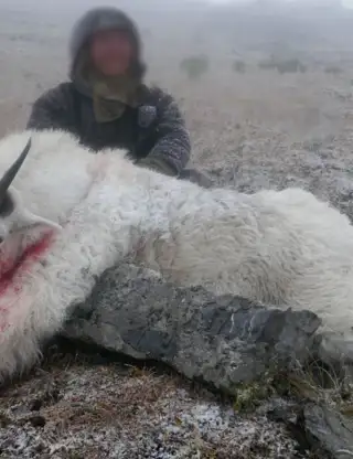 Skærmbillede 2023 10 30 180810