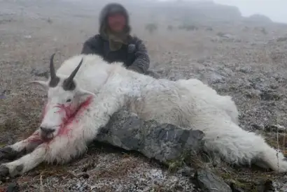 Skærmbillede 2023 10 30 180810