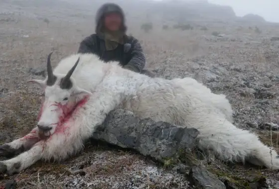 Skærmbillede 2023 10 30 180810