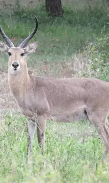 Hjemmeside Og PDF Format 169 (2) Min