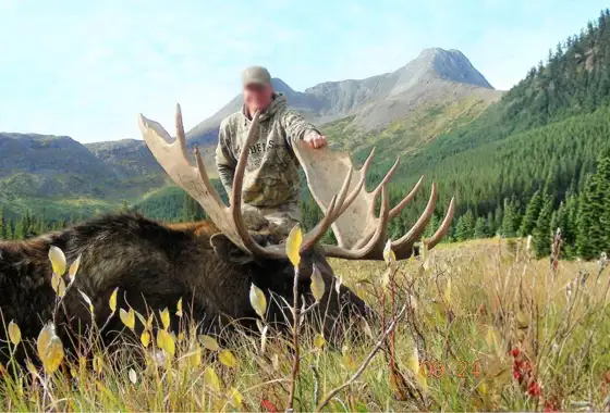 Skærmbillede 2023 10 31 142948 (1)