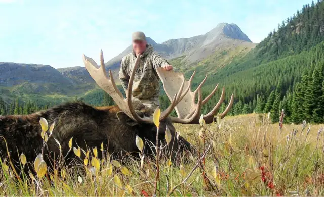 Skærmbillede 2023 10 31 142948 (1)