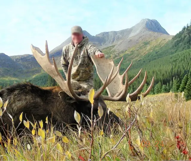 Skærmbillede 2023 10 31 142948 (1)