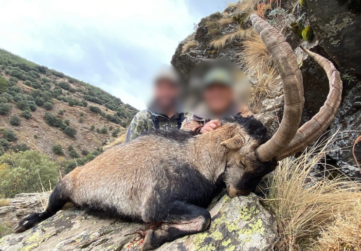 Design Uden Navn (30)