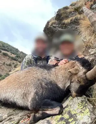 Design Uden Navn (30)