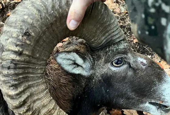 404327806 1109463073686510 2991263887997793497 N