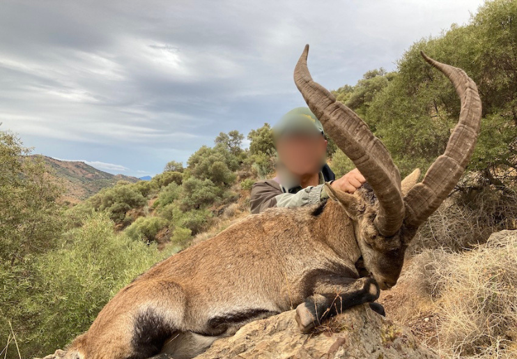 Design Uden Navn (30)