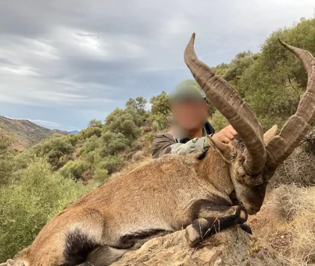 Design Uden Navn (30)