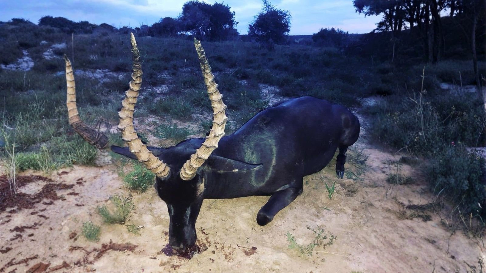 Kopi Af Hjemmeside Og PDF Format 169 2025 11 14T121441.411 Min