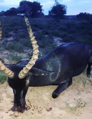 Kopi Af Hjemmeside Og PDF Format 169 2025 11 14T121441.411 Min