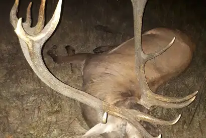 359819489 1023272798972205 6643892701311205991 N