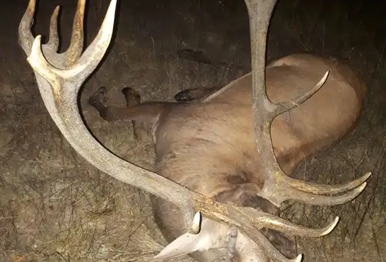 359819489 1023272798972205 6643892701311205991 N