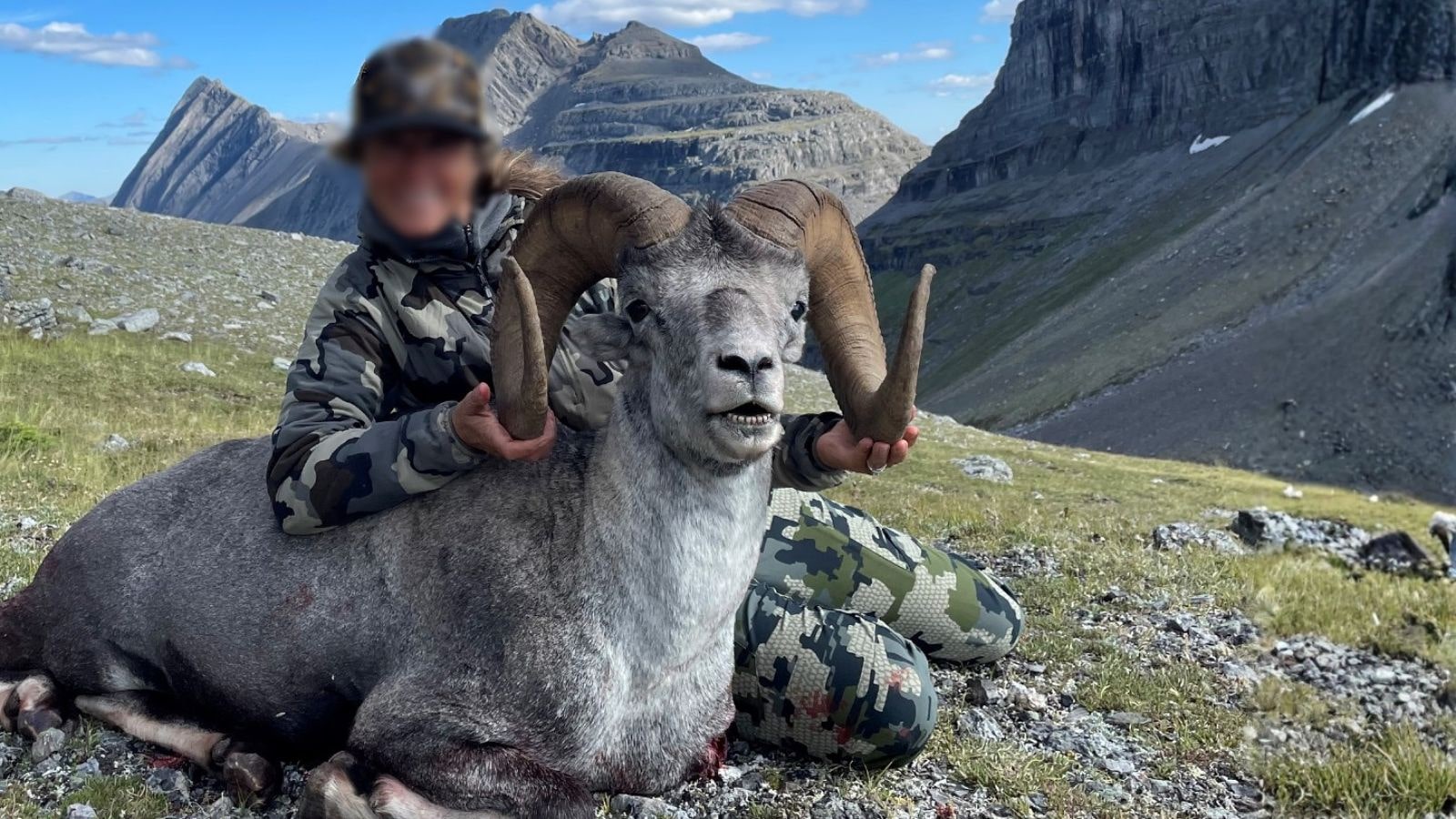 Skærmbillede 2023 10 30 175928 (1)