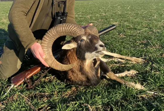 Skærmbillede 2023 05 30 151931