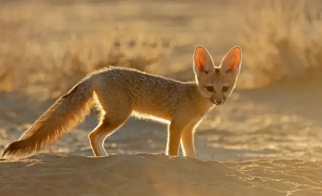 Kopi Af Hjemmeside Og Pdf Format 169 8 Min