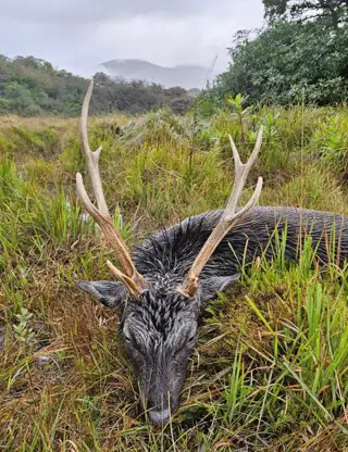 Skærmbillede 2024 10 09 115116 Min