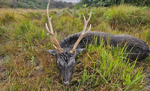 Skærmbillede 2024 10 09 115116 Min