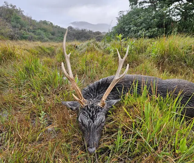 Skærmbillede 2024 10 09 115116 Min