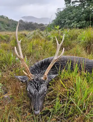 Skærmbillede 2024 10 09 115116 Min