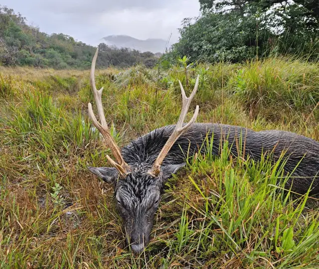 Skærmbillede 2024 10 09 115116 Min