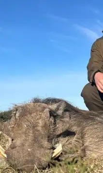 Skærmbillede 2025 07 29 100837