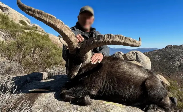 Skærmbillede 2024 10 18 134634 Min