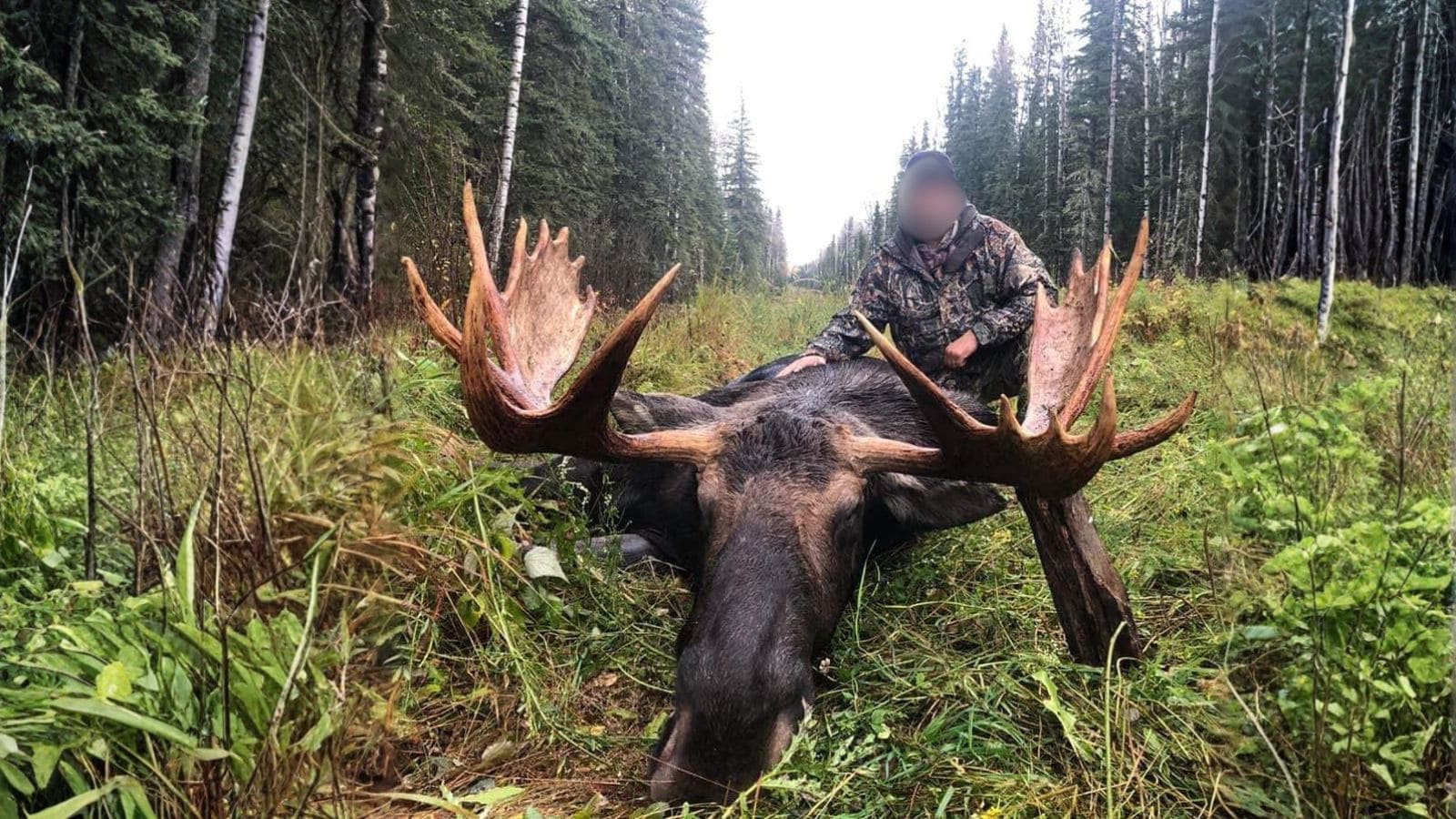 Kopi Af Hjemmeside Og PDF Format 169 2025 12 04T110119.840 Min