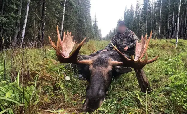 Kopi Af Hjemmeside Og PDF Format 169 2025 12 04T110119.840 Min