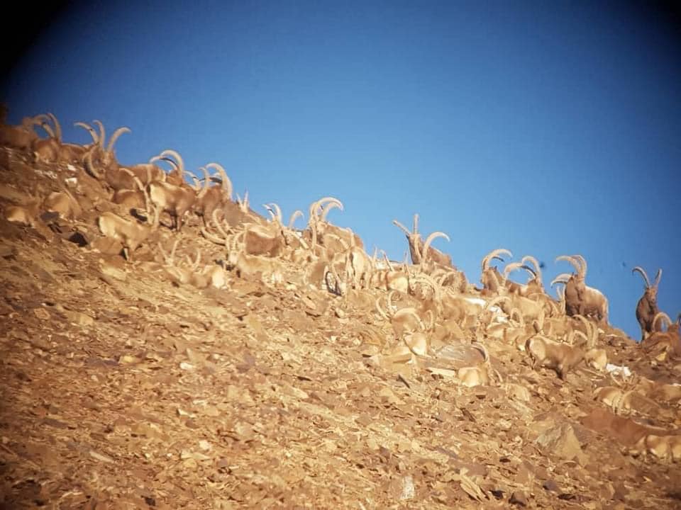 125949990 2044178799046551 5862803203366485253 N