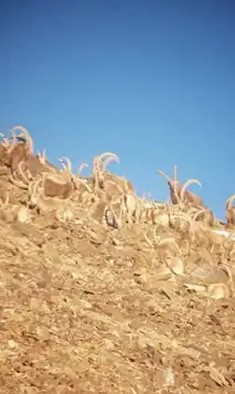 125949990 2044178799046551 5862803203366485253 N