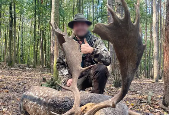 Skærmbillede 2023 12 01 080756