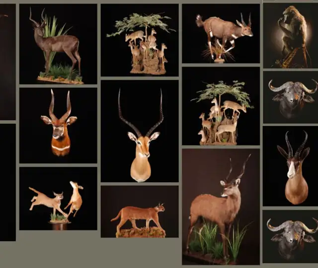 Kopi Af Hjemmeside Og PDF Format 169 (25) (1)