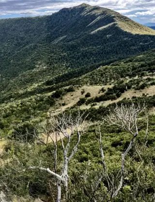 Design Uden Navn (6) Min