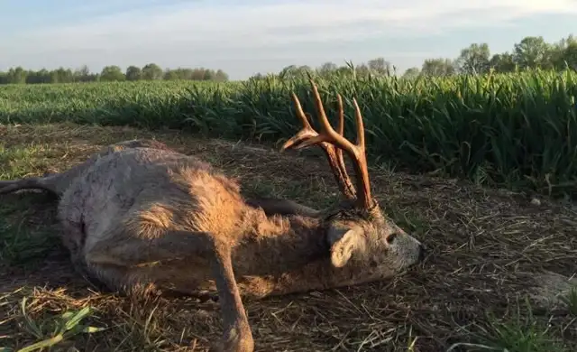 362615696 1029735078325977 6383855248724871492 N