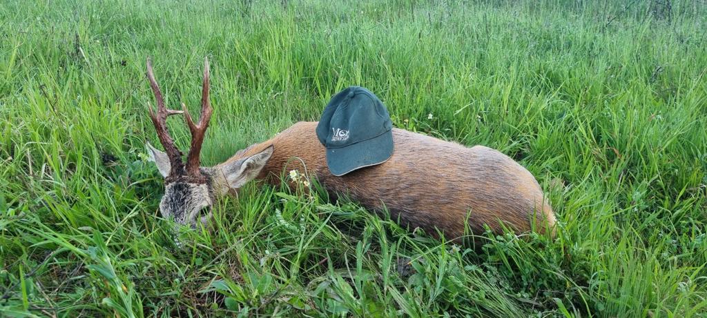 Whatsapp Image 2023 05 08 At 10.26.20