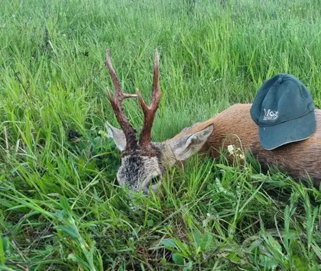 Whatsapp Image 2023 05 08 At 10.26.20