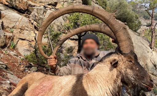 Skærmbillede 2023 12 04 162508