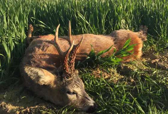 406399444 1113874126578738 7833292878020928124 N