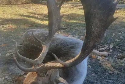 369978921 1051270589505759 1753772021116584503 N