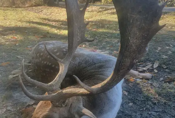 369978921 1051270589505759 1753772021116584503 N