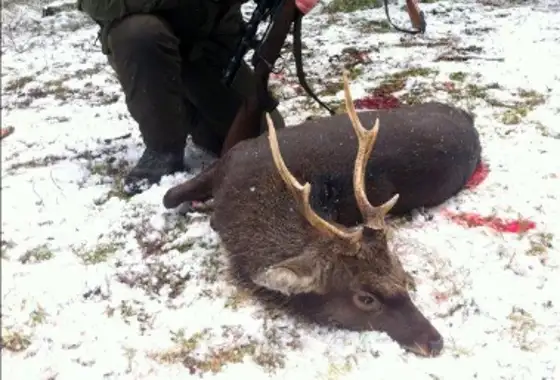 Skærmbillede 2023 12 01 082950