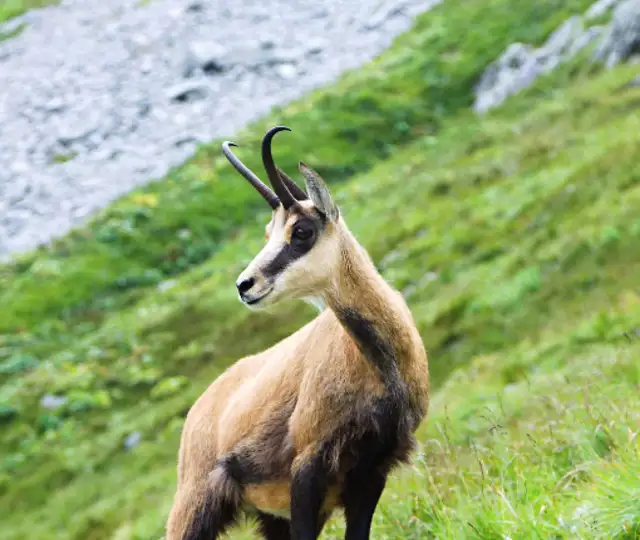 Skærmbillede 2024 05 07 163247